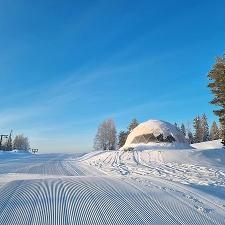 Outdoor Hostel Laajis Jyväskylä Exteriör bild